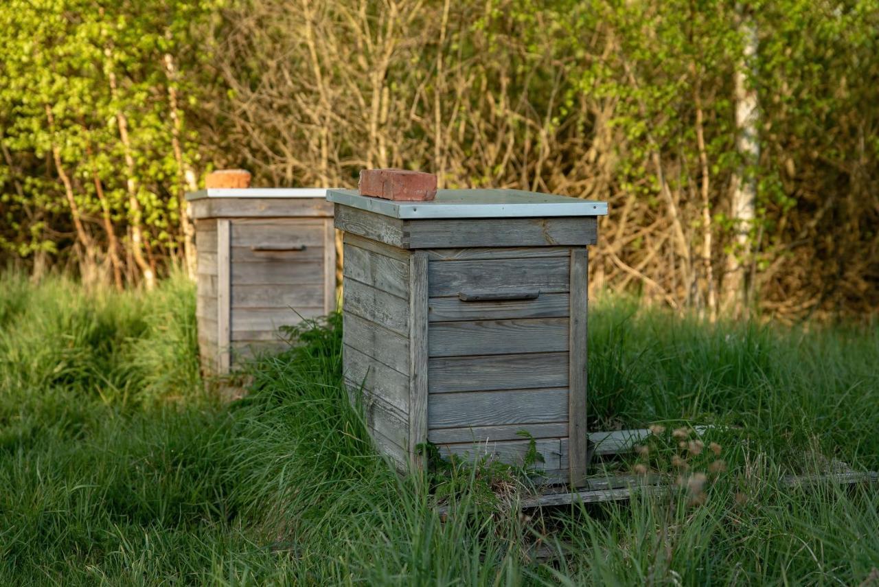 Zurawi Jar Bed and Breakfast Wabrzezno Buitenkant foto